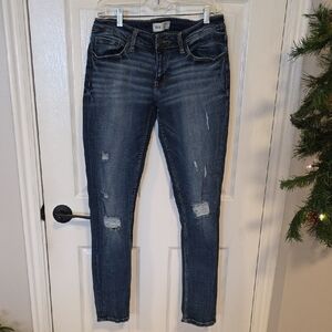 BKE Stella Skinny Jeans